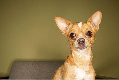 《霸剑霄云录》Steam页面上线 发售日期待定